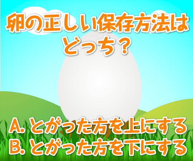 卵の正しい保存方法はどっち？？