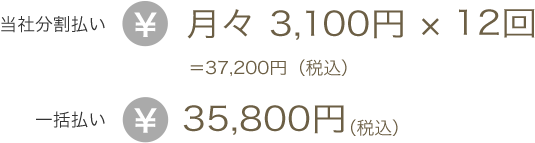 当社分割払い月々 3,100円 × 12回＝37,200円（税込）一括払い35,800円（税込）